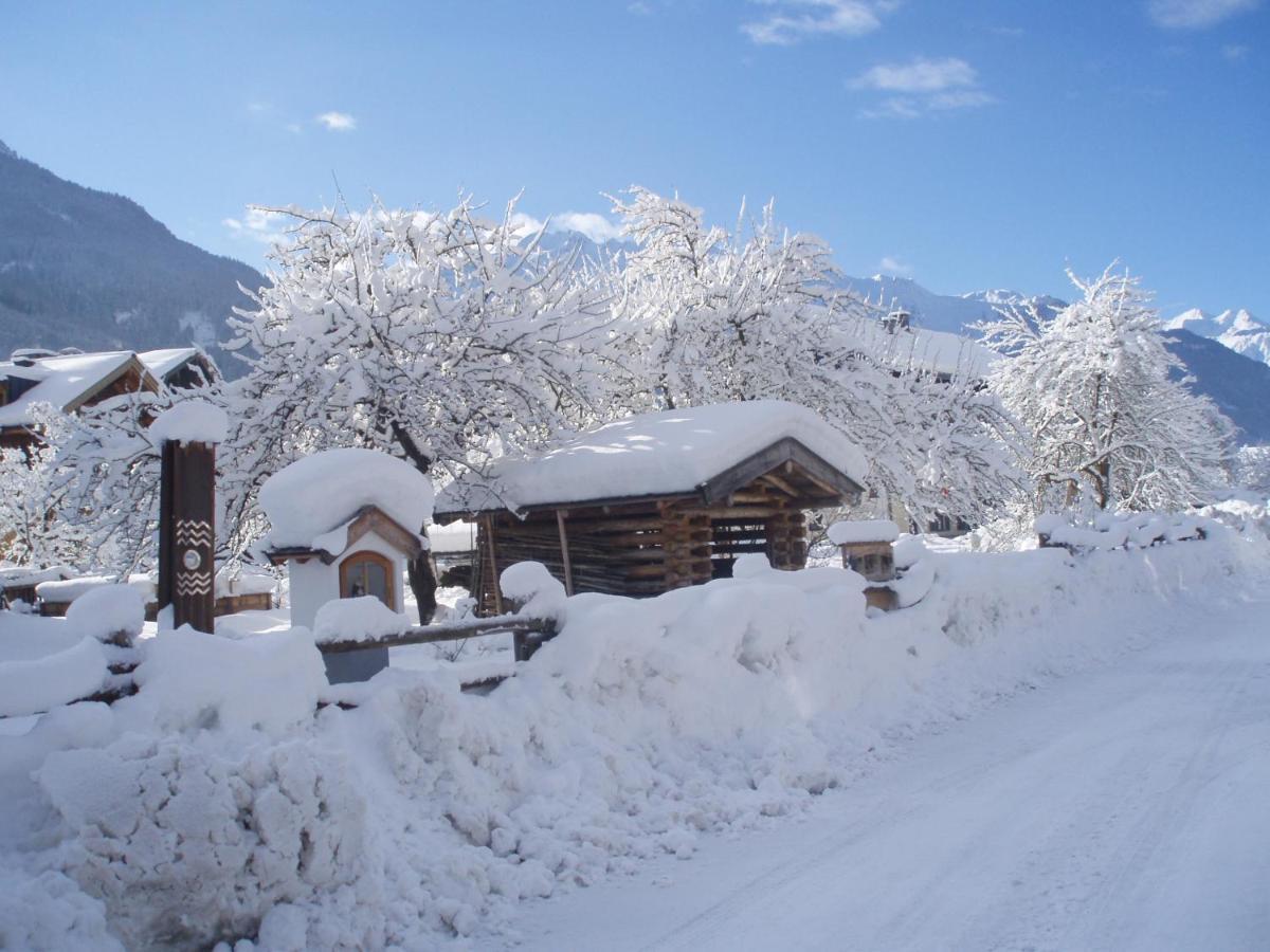 Haus Seifriedsberger Διαμέρισμα Bramberg am Wildkogel Εξωτερικό φωτογραφία