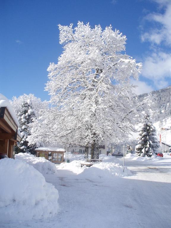 Haus Seifriedsberger Διαμέρισμα Bramberg am Wildkogel Εξωτερικό φωτογραφία