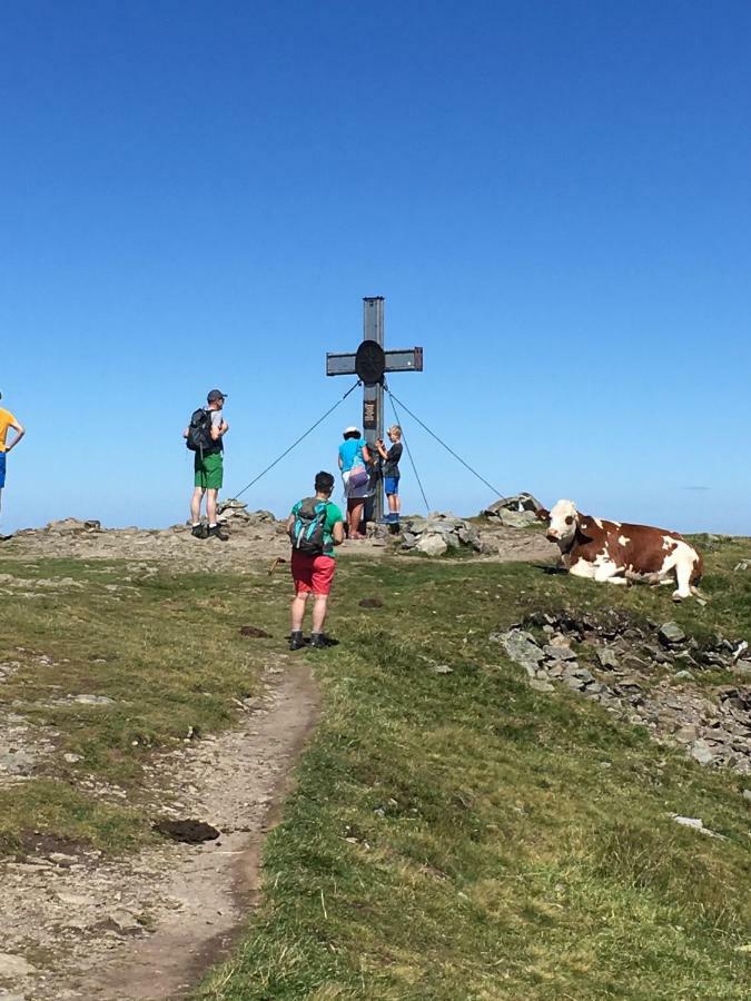 Haus Seifriedsberger Διαμέρισμα Bramberg am Wildkogel Εξωτερικό φωτογραφία